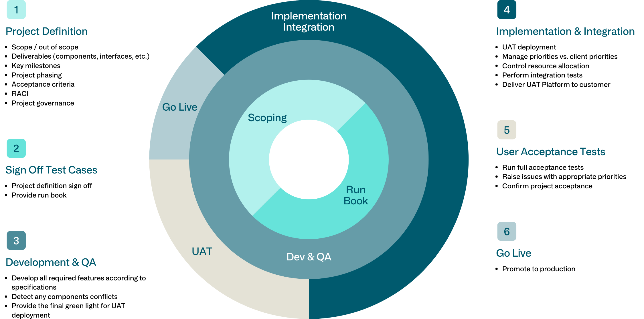 Detailed infographic showing a project lifeline.